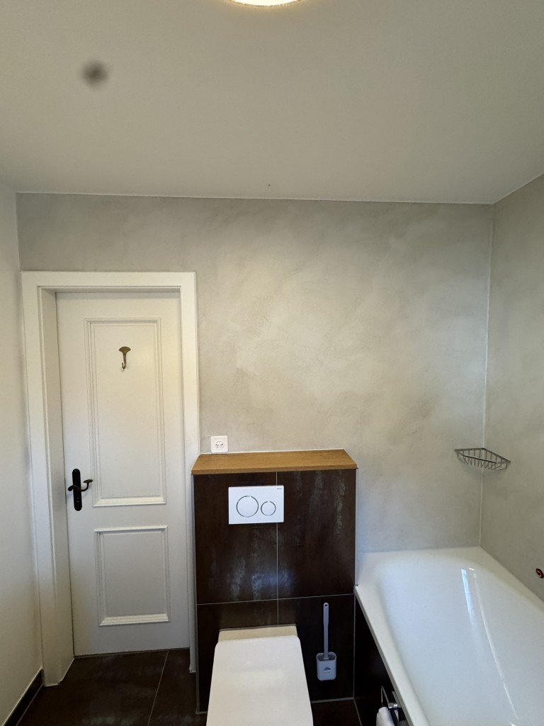 Rénovation sanitaire